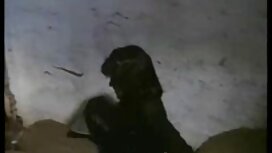 گربه اش را با انگشتا ...