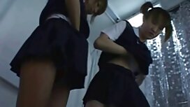 پس از آنكه جوجه تمام ...