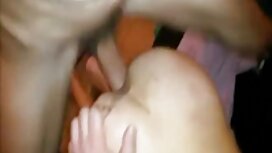 لعنتی Caton چمن لعنت ...